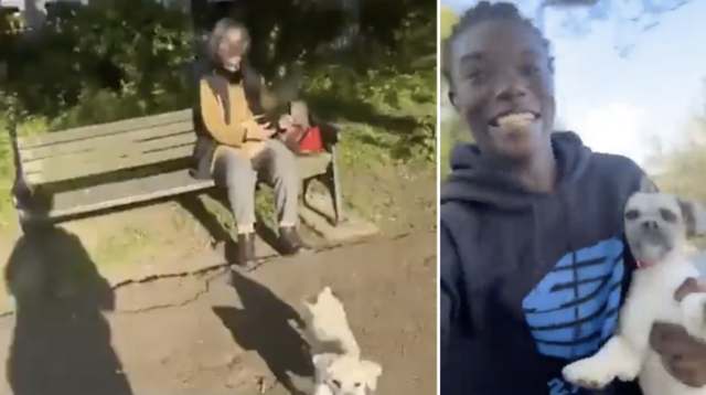 SMH: D*uchebag Prankster Snatches Elderly Woman's Dog And Runs Away With It!