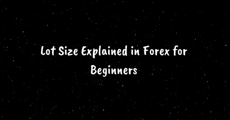 Lot Size Explained in Forex for Beginners
